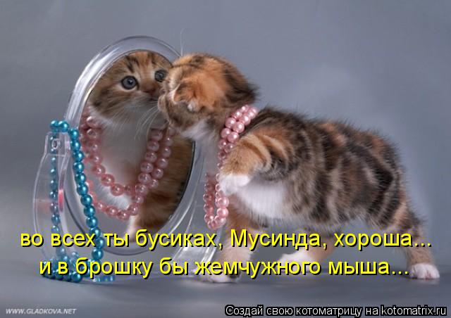 Котоматрица: во всех ты бусиках, Мусинда, хороша... и в брошку бы жемчужного мыша...
