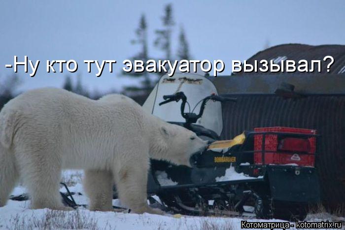 -Ну кто тут эвакуатор вызывал?... Котоматрица: -Ну кто тут эвакуатор вызывал?