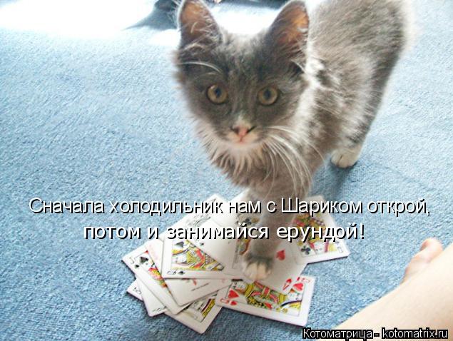 потом и занимайся ерундой! Сначала холодильник нам с Шариком открой,... Котоматрица: потом и занимайся ерундой! Сначала холодильник нам с Шариком открой,