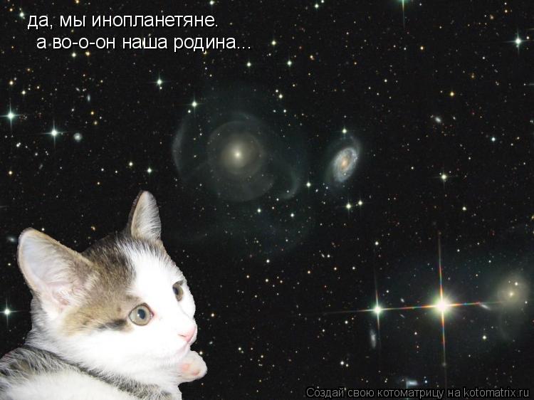 да, мы инопланетяне. а во-о-он наша родина...... Котоматрица: да, мы инопланетяне. а во-о-он наша родина...