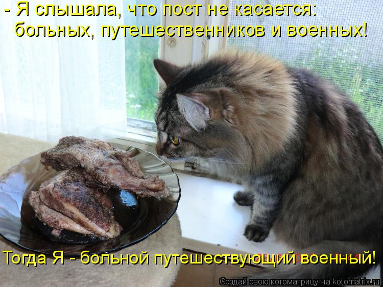 - Я слышала, что пост не касается: больных, путешественников и военных! Тогда Я - больной путешествую... Котоматрица: - Я слышала, что пост не касается: больных, путешественников и военных! Тогда Я - больной путешествующий военный!