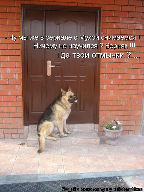 - Ну мы же в сериале с Мухой снимаемся ! Ничему не научился ? Верняк !!! Где твои отмычки ?....... Котоматрица: - Ну мы же в сериале с Мухой снимаемся ! Ничему не научился ? Верняк !!! Где твои отмычки ?....