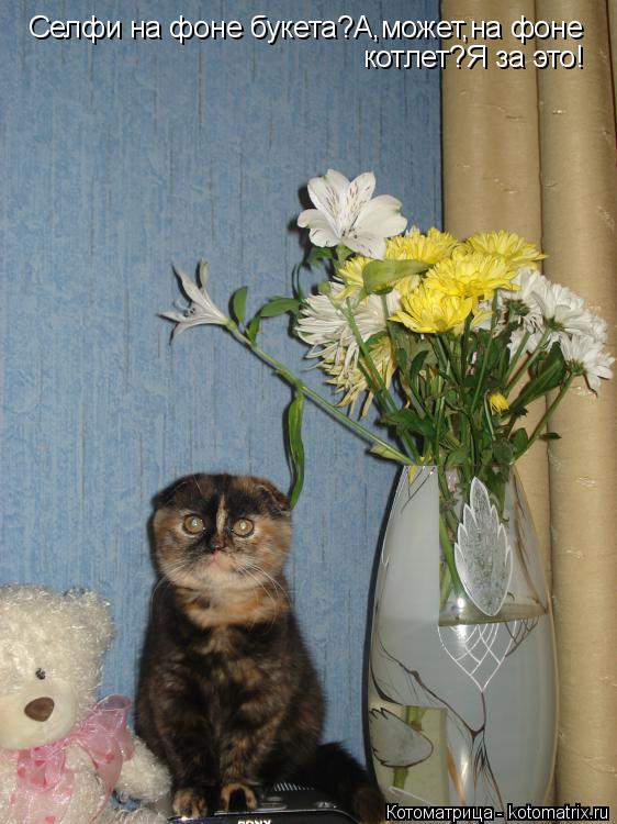Селфи на фоне букета?А,может,на фоне котлет?Я за это!... Котоматрица: Селфи на фоне букета?А,может,на фоне котлет?Я за это!