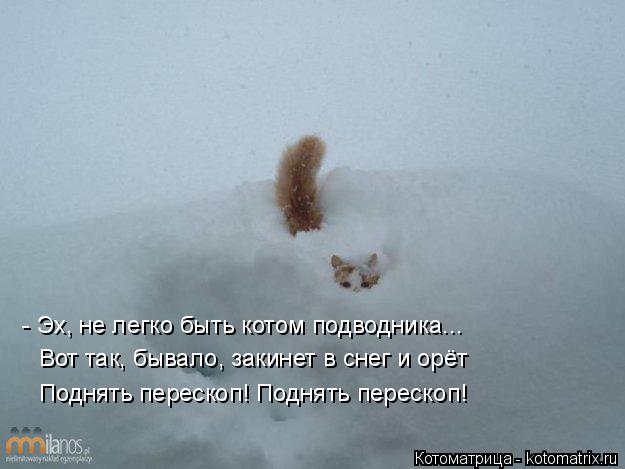 - Эх, не легко быть котом подводника... Вот так, бывало, закинет в снег и орёт Поднять перескоп! Подн... Котоматрица: - Эх, не легко быть котом подводника... Вот так, бывало, закинет в снег и орёт Поднять перескоп! Поднять перескоп!