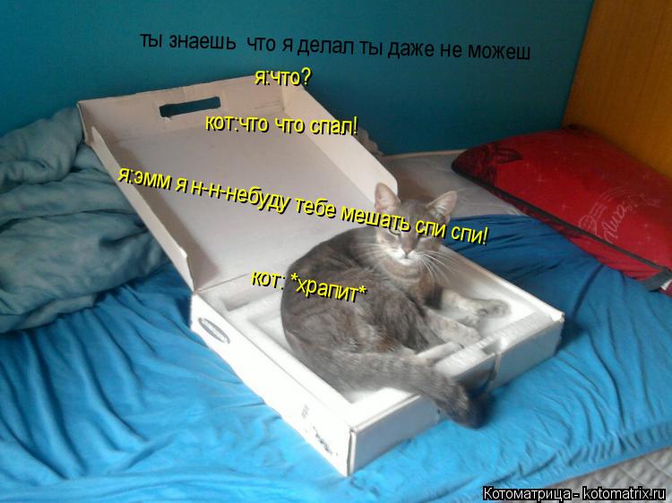 ты знаешь что я делал ты даже не можеш я:что? кот:что что спал! я:эмм я н-н-небуду тебе мешать спи с... Котоматрица: ты знаешь что я делал ты даже не можеш я:что? кот:что что спал! я:эмм я н-н-небуду тебе мешать спи спи! кот: *храпит*