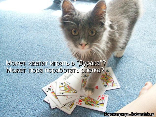 Может, хватит играть в "Дурака"? Может, пора поработать слегка?... Котоматрица: Может, хватит играть в "Дурака"? Может, пора поработать слегка?