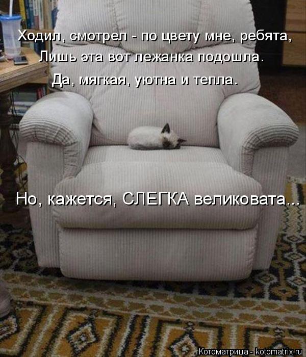 Ходил, смотрел - по цвету мне, ребята, Лишь эта вот лежанка подошла. Да, мягкая, уютна и тепла. Но, к... Котоматрица: Ходил, смотрел - по цвету мне, ребята, Лишь эта вот лежанка подошла. Да, мягкая, уютна и тепла. Но, кажется, СЛЕГКА великовата...