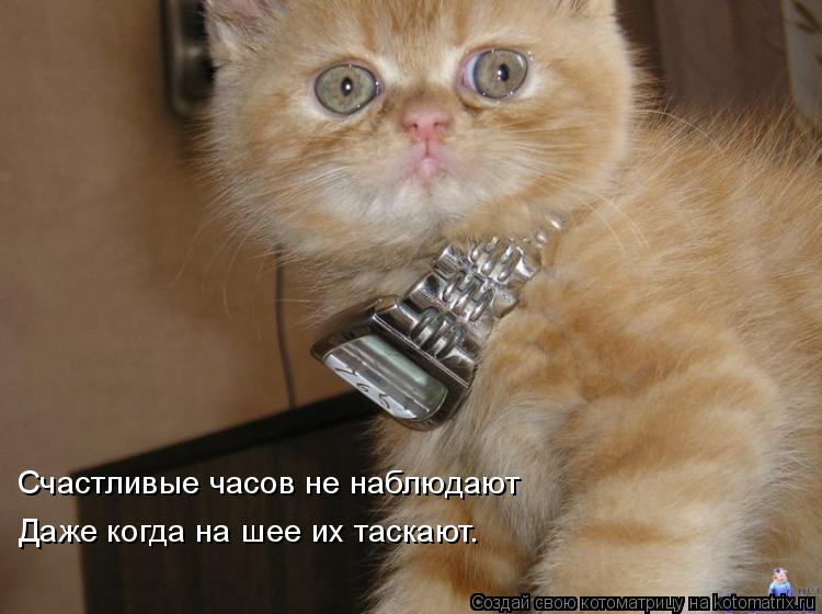 Счастливые часов не наблюдают Даже когда на шее их таскают.... Котоматрица: Счастливые часов не наблюдают Даже когда на шее их таскают.
