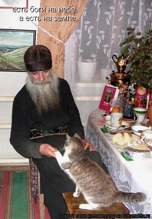 есть боги на небе, а есть на земле.... Котоматрица: есть боги на небе, а есть на земле.