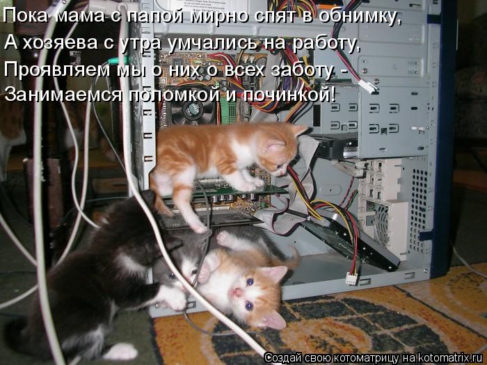 Пока мама с папой мирно спят в обнимку, А хозяева с утра умчались на работу, Проявляем мы о них о все... Котоматрица: Пока мама с папой мирно спят в обнимку, А хозяева с утра умчались на работу, Проявляем мы о них о всех заботу - Занимаемся поломкой и починко