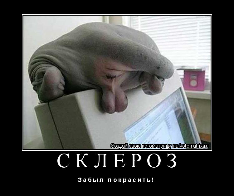 СКЛЕРОЗ З а б ы л п о к р а с и т ь ! ... Котоматрица: СКЛЕРОЗ З а б ы л п о к р а с и т ь !