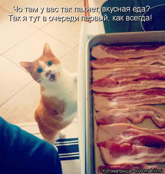 Чо там у вас так пахнет, вкусная еда? Так я тут в очереди первый, как всегда!... Котоматрица: Чо там у вас так пахнет, вкусная еда? Так я тут в очереди первый, как всегда!
