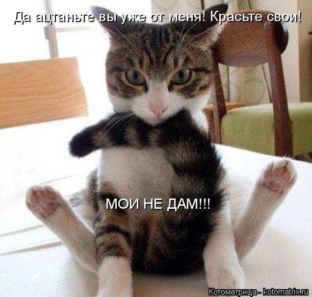 Да ацтаньте вы уже от меня! Красьте свои! МОИ НЕ ДАМ!!!... Котоматрица: Да ацтаньте вы уже от меня! Красьте свои! МОИ НЕ ДАМ!!!
