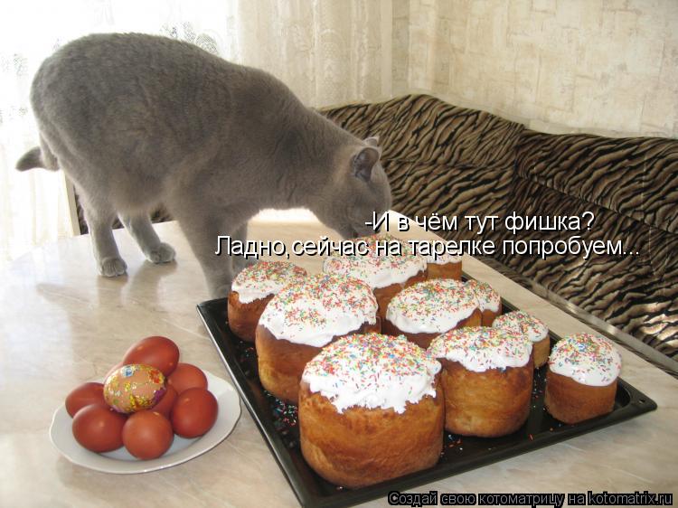 Котоматрица: -И в чём тут фишка? Ладно,сейчас на тарелке попробуем...