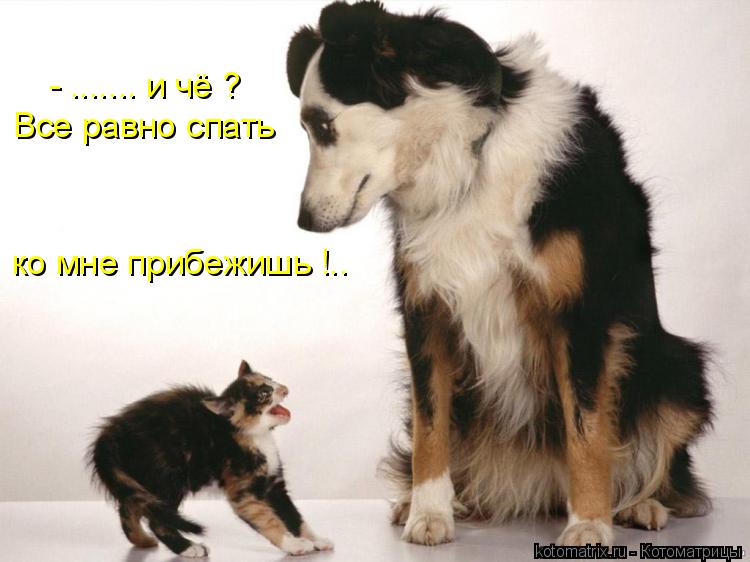 Котоматрица: - ....... и чё ? Все равно спать ко мне прибежишь !..