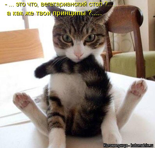 Котоматрица: - ... это что, вегетарианский стол ?..... а как же твои принципы ?.....