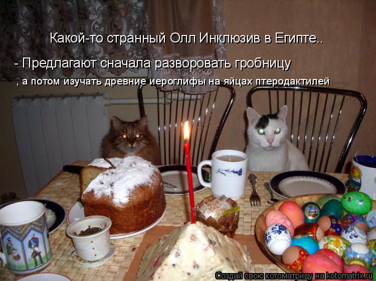 Котоматрица: Какой-то странный Oлл Инклюзив в Египте.. - Предлагают сначала разворовать гробницу  , а потом изучать древние иероглифы на яйцах птеродакти