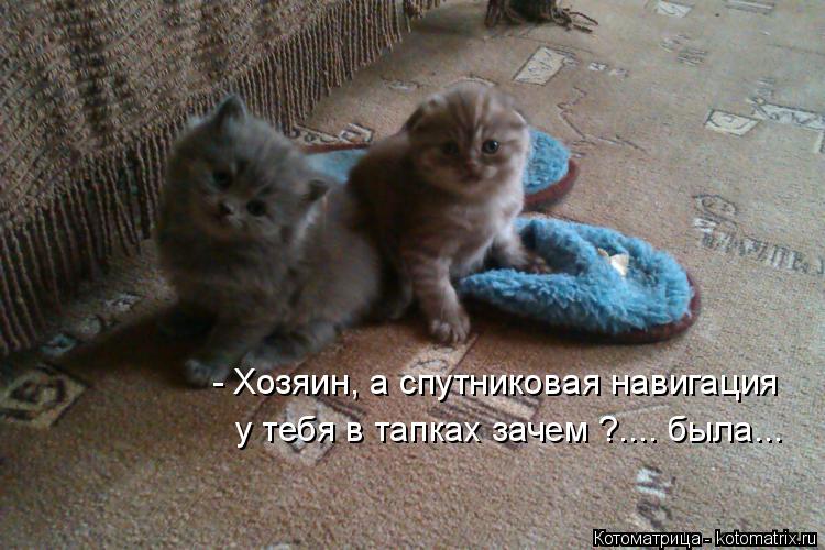 - Хозяин, а спутниковая навигация у тебя в тапках зачем ?.... была...... Котоматрица: - Хозяин, а спутниковая навигация у тебя в тапках зачем ?.... была...