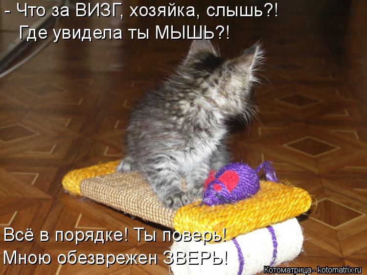 - Что за ВИЗГ, хозяйка, слышь?! Где увидела ты МЫШЬ?! Всё в порядке! Ты поверь! Мною обезврежен ЗВЕРЬ... Котоматрица: - Что за ВИЗГ, хозяйка, слышь?! Где увидела ты МЫШЬ?! Всё в порядке! Ты поверь! Мною обезврежен ЗВЕРЬ!