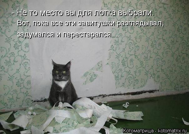 Котоматрица: - Не то место вы для лотка выбрали. Вот, пока все эти завитушки разглядывал,  задумался и перестарался...