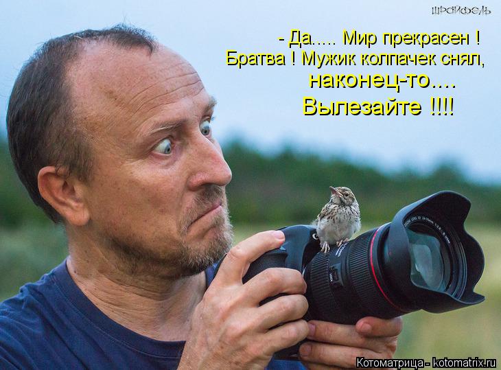 Котоматрица: - Да..... Мир прекрасен ! Братва ! Мужик колпачек снял, наконец-то.... Вылезайте !!!!