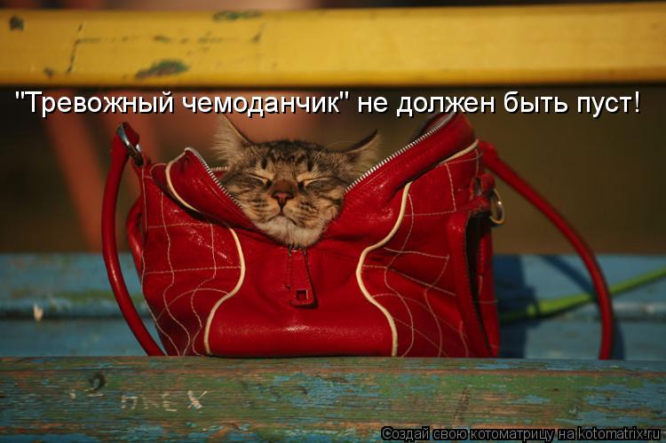 Котоматрица: "Тревожный чемоданчик" не должен быть пуст!