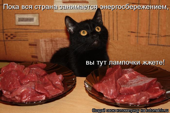 Пока вся страна занимается энергосбережением, вы тут лампочки жжете!... Котоматрица: Пока вся страна занимается энергосбережением, вы тут лампочки жжете!