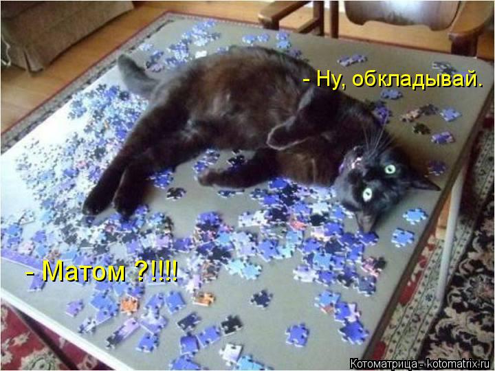 - Ну, обкладывай. - Матом ?!!!!... Котоматрица: - Ну, обкладывай. - Матом ?!!!!