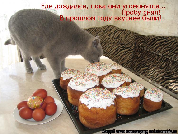 Котоматрица: Еле дождался, пока они угомонятся... Пробу снял!  В прошлом году вкуснее были!