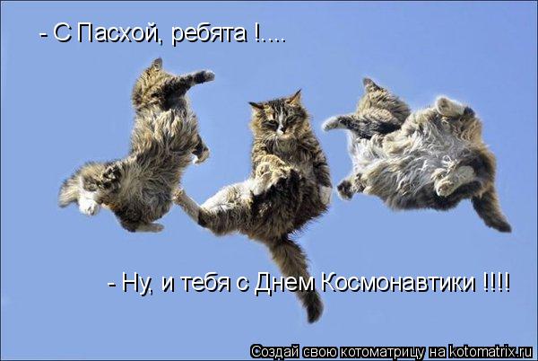 - Ну, и тебя с Днем Космонавтики !!!! - С Пасхой, ребята !....... Котоматрица: - Ну, и тебя с Днем Космонавтики !!!! - С Пасхой, ребята !....
