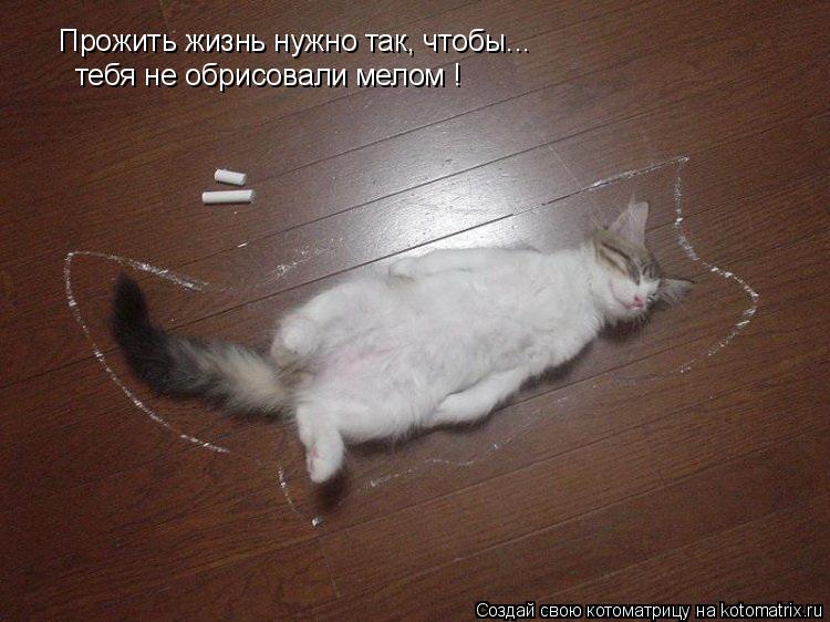 Прожить жизнь нужно так, чтобы... тебя не обрисовали мелом !... Котоматрица: Прожить жизнь нужно так, чтобы... тебя не обрисовали мелом !