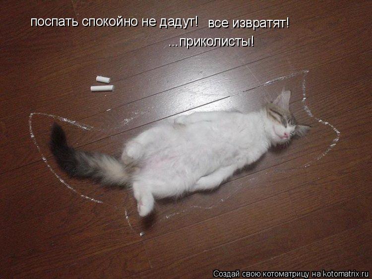 Котоматрица: поспать спокойно не дадут! ...приколисты! все извратят!