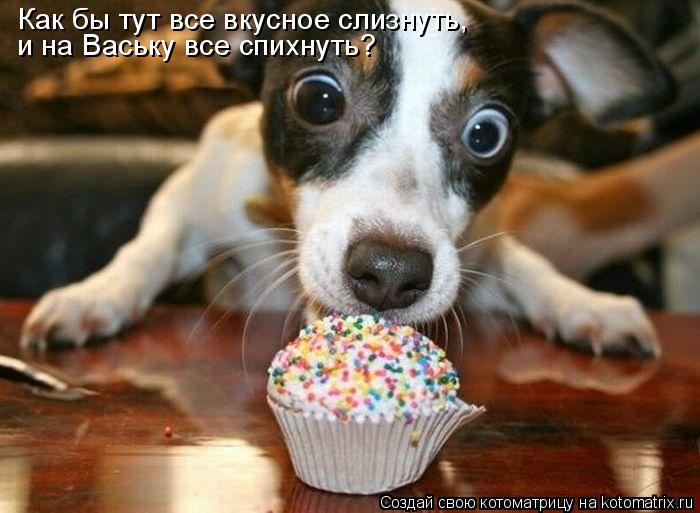 Котоматрица: Как бы тут все вкусное слизнуть,  и на Ваську все спихнуть?