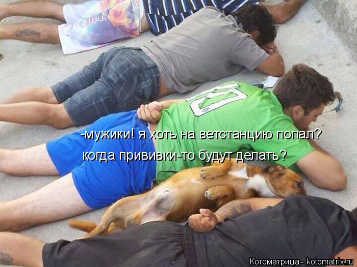 Котоматрица: -мужики! я хоть на ветстанцию попал? когда прививки-то будут делать?