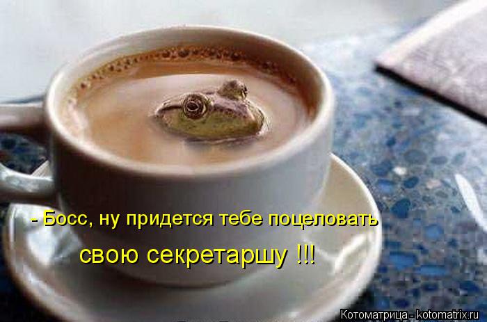 Котоматрица: - Босс, ну придется тебе поцеловать свою секретаршу !!!