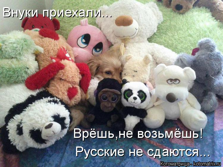Котоматрица: Внуки приехали... Врёшь,не возьмёшь! Русские не сдаются...