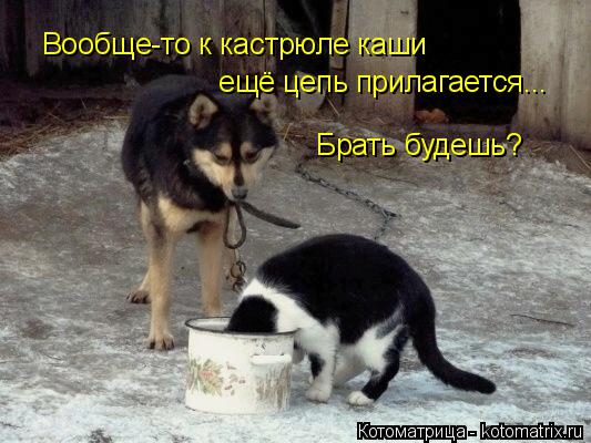 Вообще-то к кастрюле каши ещё цепь прилагается... Брать будешь?... Котоматрица: Вообще-то к кастрюле каши ещё цепь прилагается... Брать будешь?