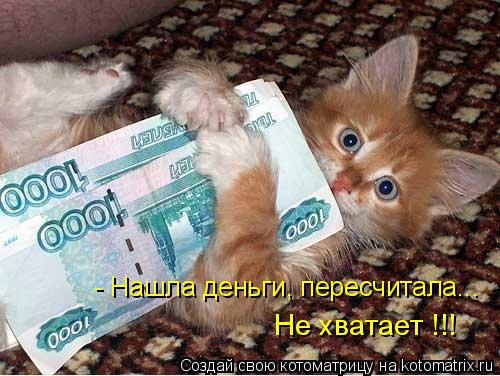 Котоматрица: - Нашла деньги, пересчитала... Не хватает !!!