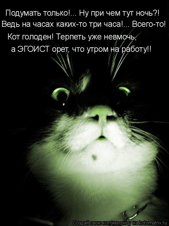 Котоматрица: Подумать только!... Ну при чем тут ночь?! Ведь на часах каких-то три часа!... Всего-то! Кот голоден! Терпеть уже невмочь, а ЭГОИСТ орет, что утром 