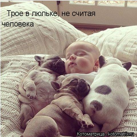 Котоматрица: Трое в люльке, не считая человека