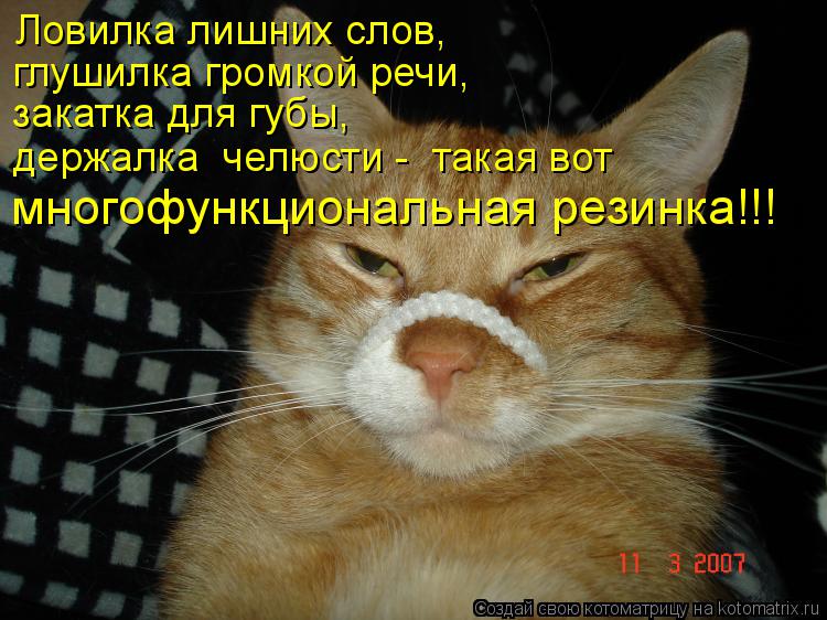 Котоматрица: Ловилка лишних слов, глушилка громкой речи, закатка для губы, держалка  челюсти -  такая вот многофункциональная резинка!!!