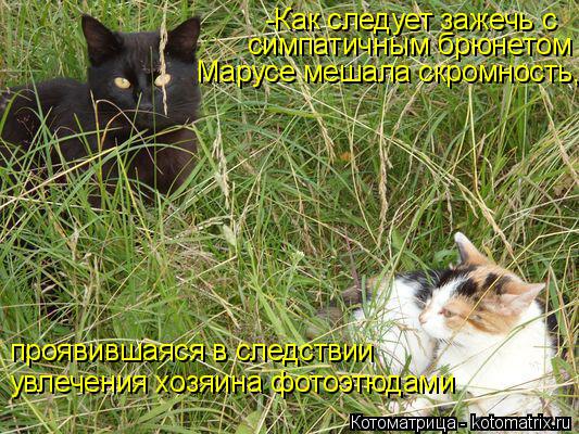 -Как следует зажечь с симпатичным брюнетом Марусе мешала скромность, проявившаяся в следствии увлече... Котоматрица: -Как следует зажечь с симпатичным брюнетом Марусе мешала скромность, проявившаяся в следствии увлечения хозяина фотоэтюдами