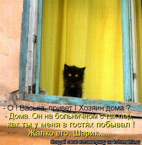 Котоматрица: - О ! Васька, привет ! Хозяин дома ? - Дома. Он на больничном с тех пор, как ты у меня в гостях побывал ! Жалко его, Шарик.....