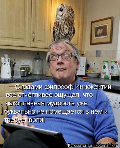 Котоматрица: С годами философ Иннокентий всё отчётливее ощущал, что  накопленная мудрость уже  буквально не помещается в нём и  требует воли!