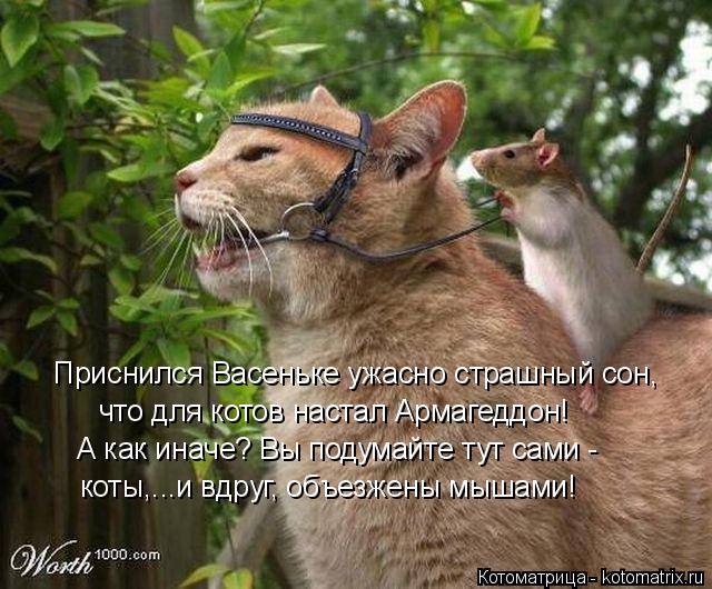 Котоматрица: Приснился Васеньке ужасно страшный сон, что для котов настал Армагеддон! А как иначе? Вы подумайте тут сами - коты,...и вдруг, объезжены мышам