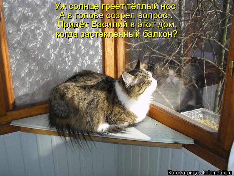 Котоматрица: Уж солнце греет тёплый нос А в голове созрел вопрос.. Придёт Василий в этот дом, когда застекленный балкон?