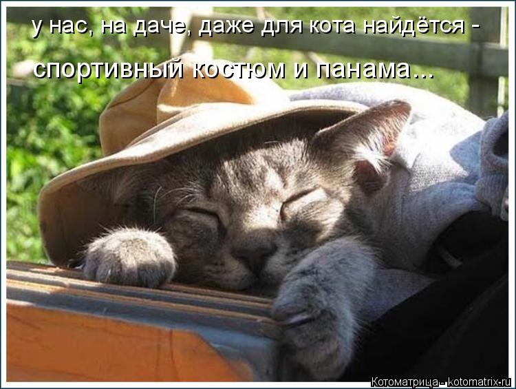 Котоматрица: у нас, на даче, даже для кота найдётся - спортивный костюм и панама...