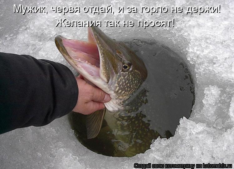 Котоматрица: Мужик, червя отдай, и за горло не держи! Желания так не просят!