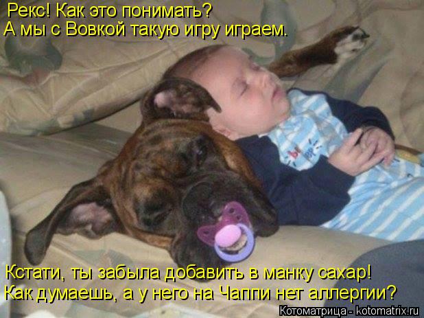 Котоматрица: Рекс! Как это понимать? А мы с Вовкой такую игру играем. Кстати, ты забыла добавить в манку сахар! Как думаешь, а у него на Чаппи нет аллергии?