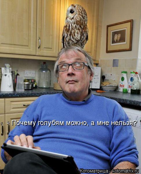 Котоматрица: - Почему голубям можно, а мне нельзя?